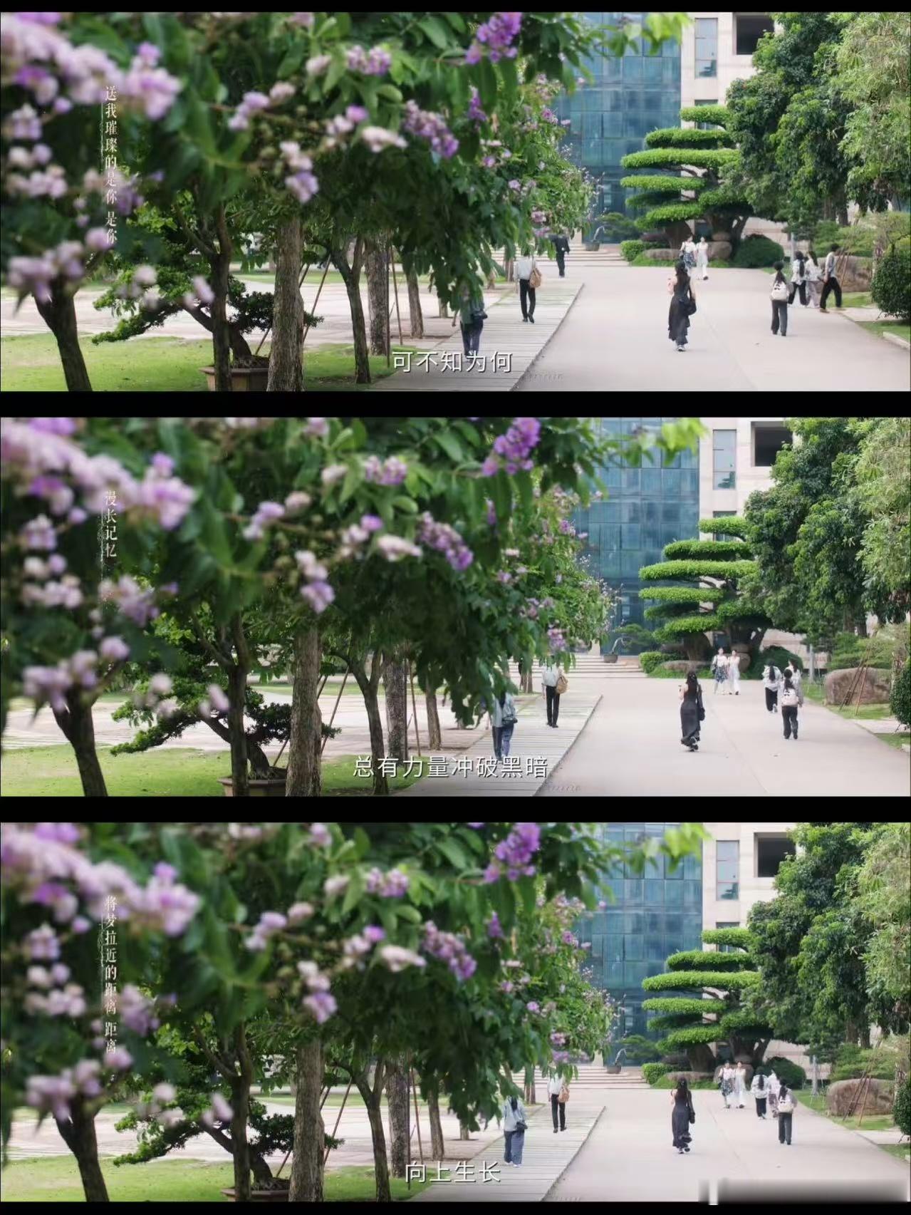 虞书欣林晚星独白片段 虞书欣的演绎太细腻了，声音带着微微的颤抖，却有着十足的底气