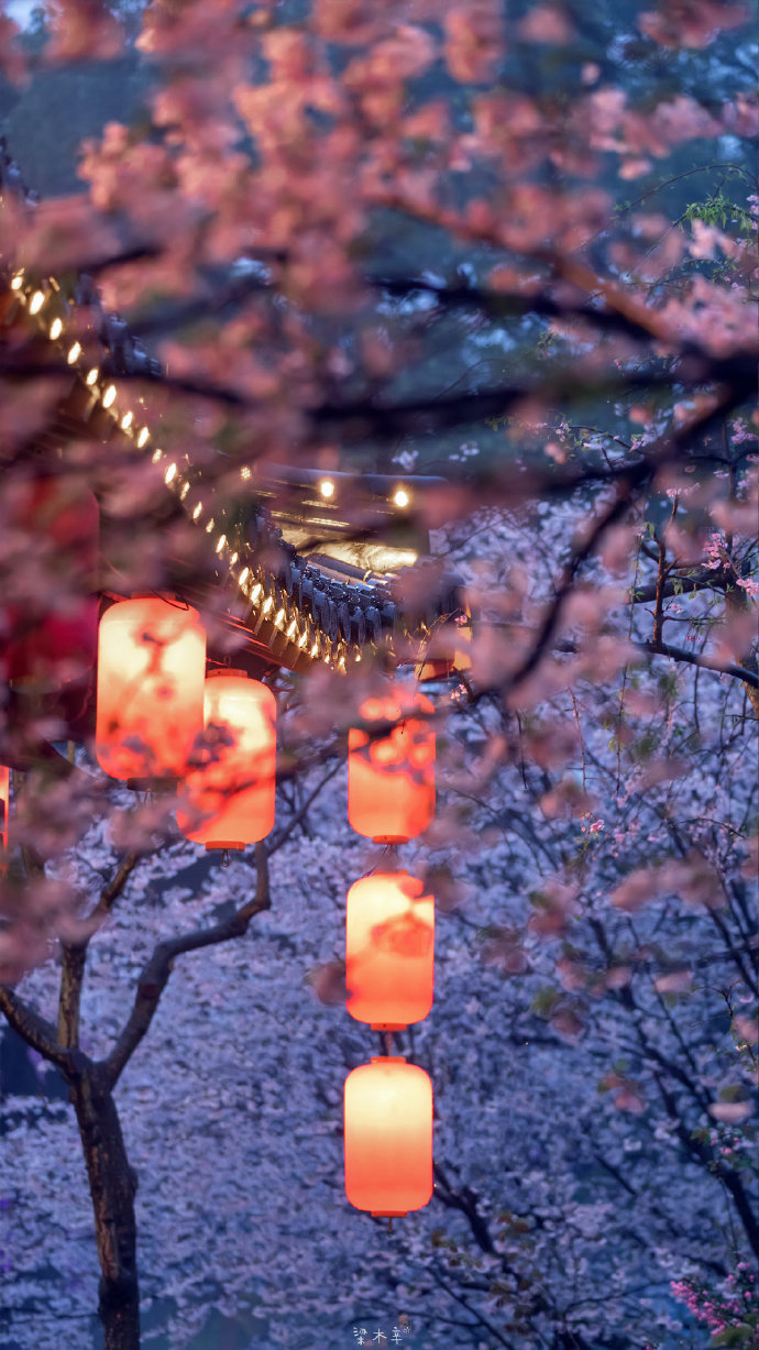 五个愿望：良友仍相随，来日得久爱，游历天下景，家眷永安康，一夜忽暴富。 ​​​