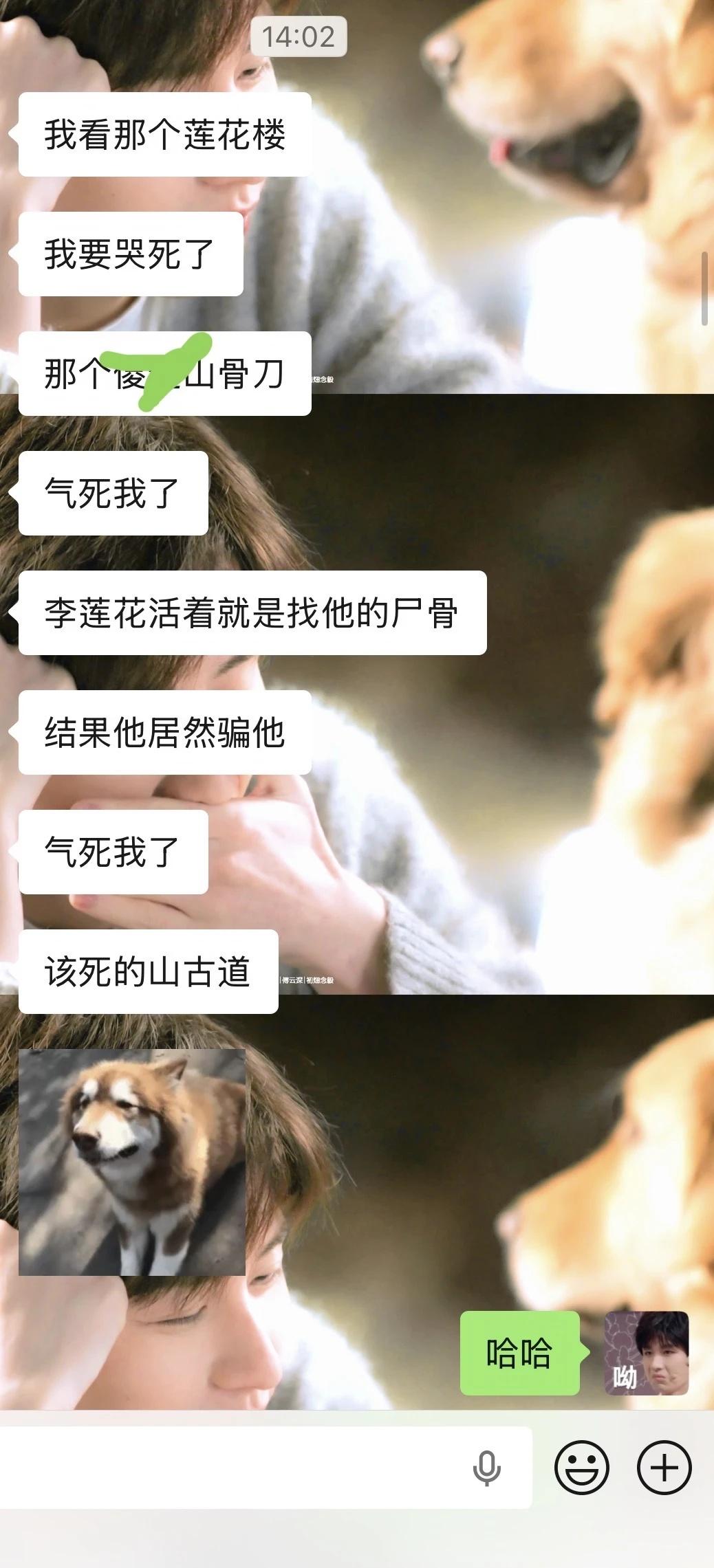 2026年，莲花楼里来了新的莲络人
是的，就是去年那个凌晨看赴山海，疯狂发消息给