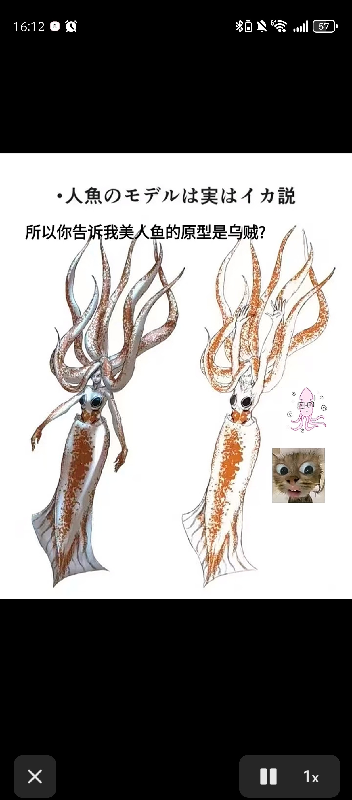 我们蛆儿可以多一个乌贼塑 