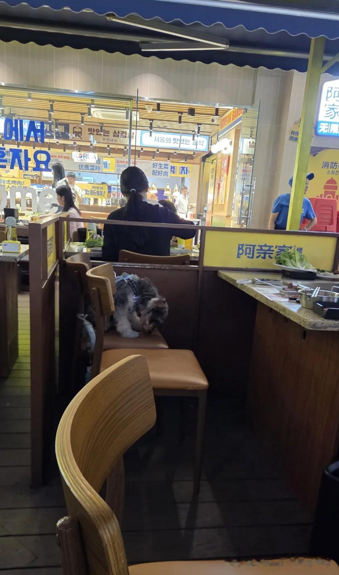狗上桌，狗舔盘，这家位于四川成都的烤肉店你还敢进去吗？最近，有网友曝光了成都天府