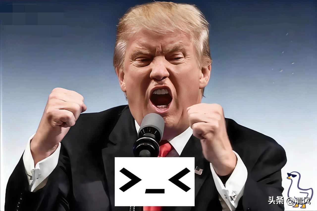 傻眼了吧

中东多国态度表明

他们始终困惑，美西方为何能在中东肆意妄为，更为何