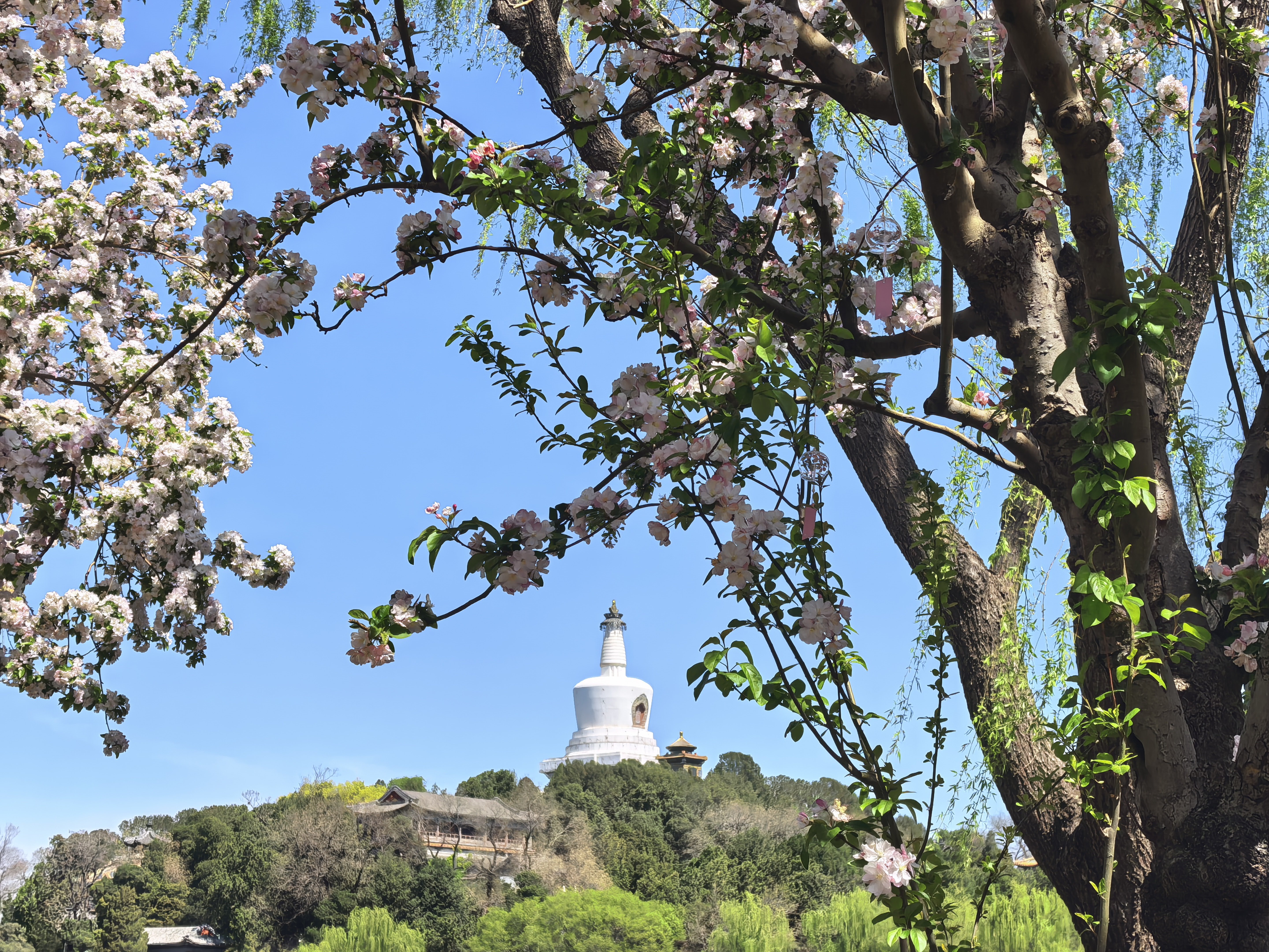 S-素质高低和地域关系不大，和年龄倒是有点关系。每个年龄段，所经历的社会文化洗礼