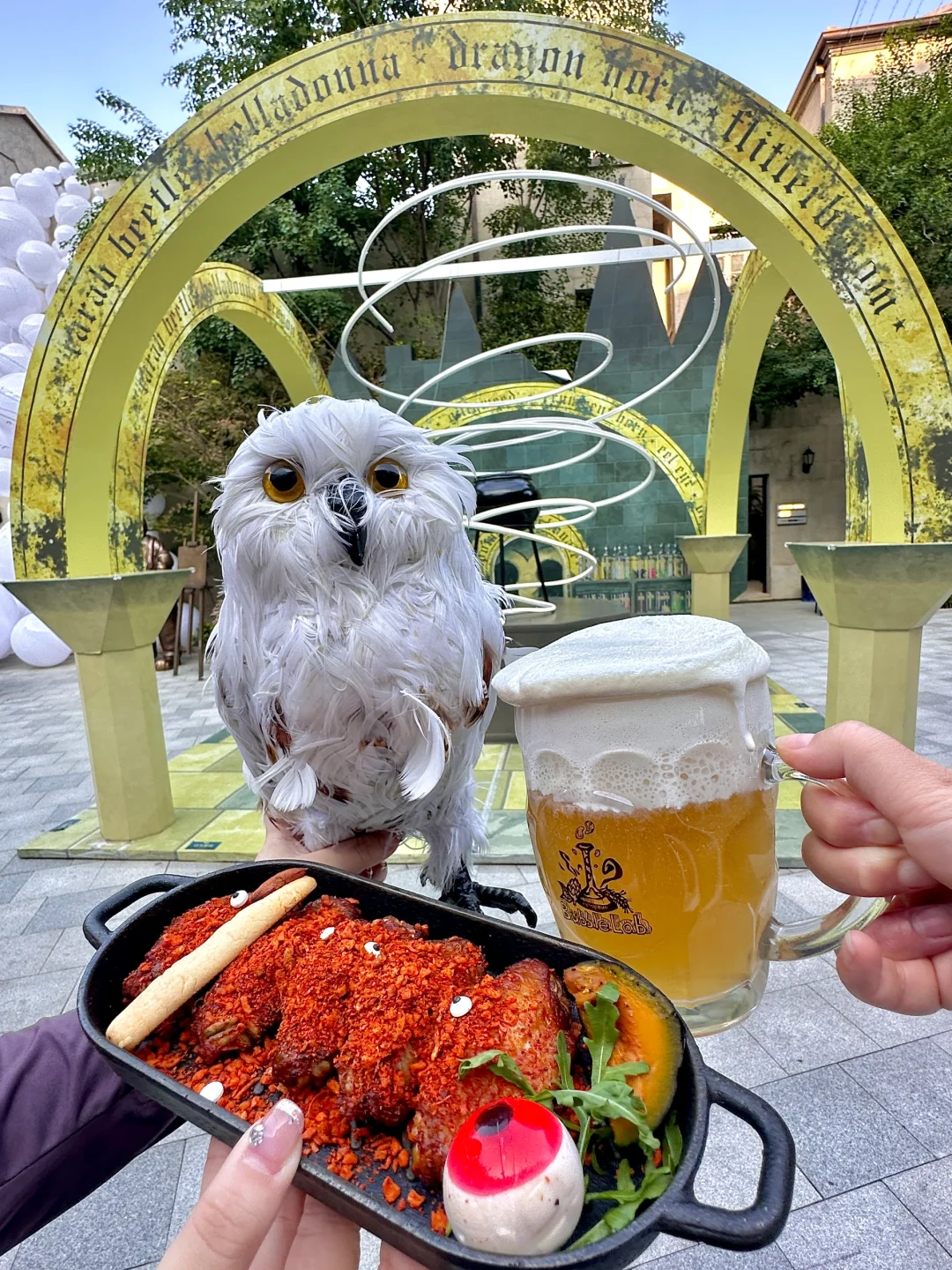 武汉的！！哈利波特主题氛围10000%~