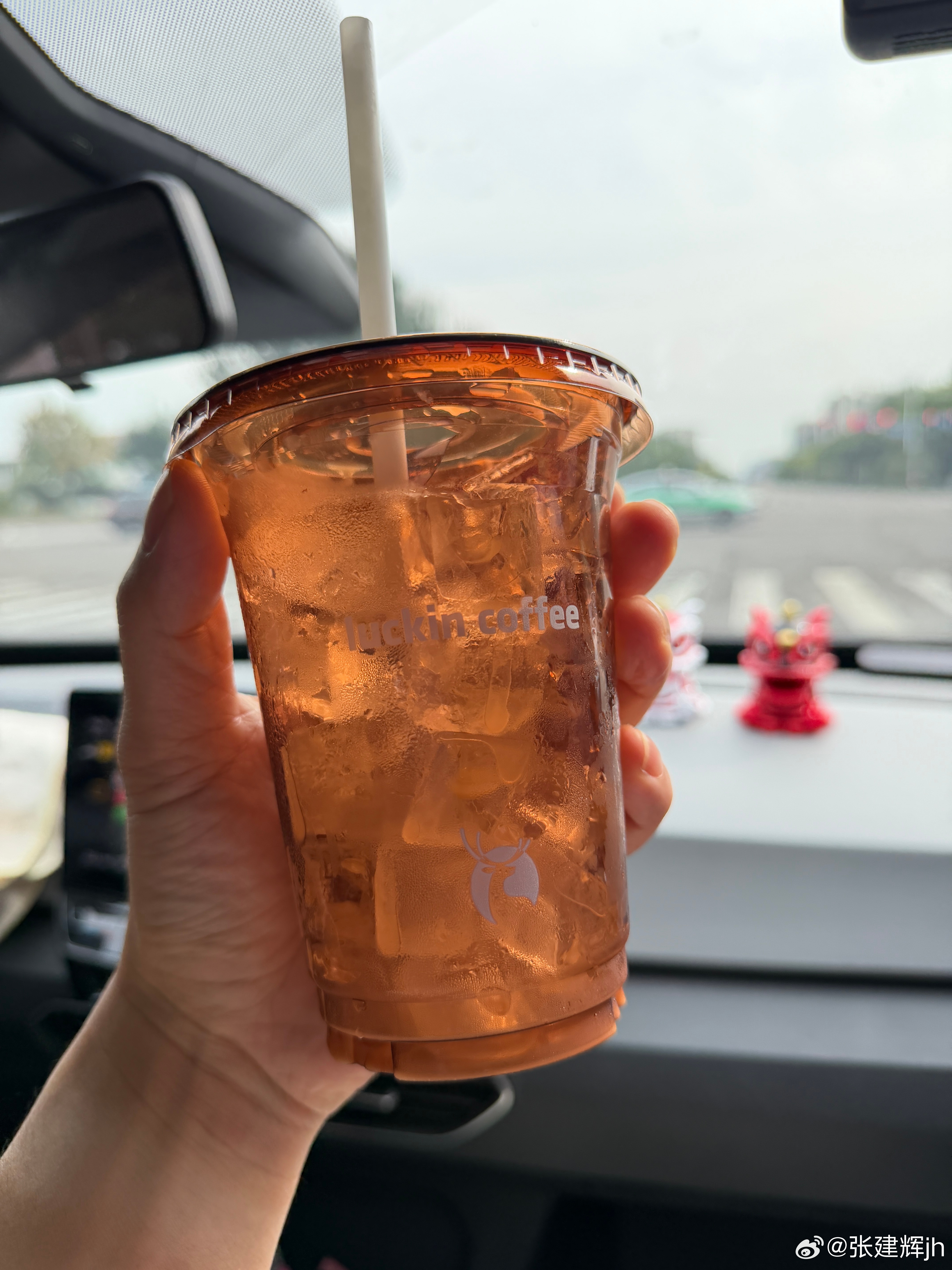 瑞子啊，咖啡我喝完了，但是冰咋一点妹少呢[挖鼻] ​​​