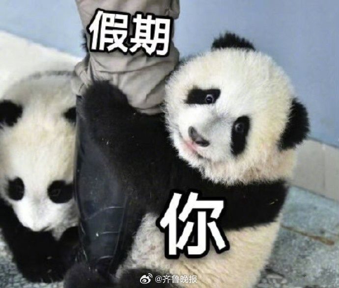 #早安# 五一假期最后一天，你此刻的状态是______[苦涩] ​​​