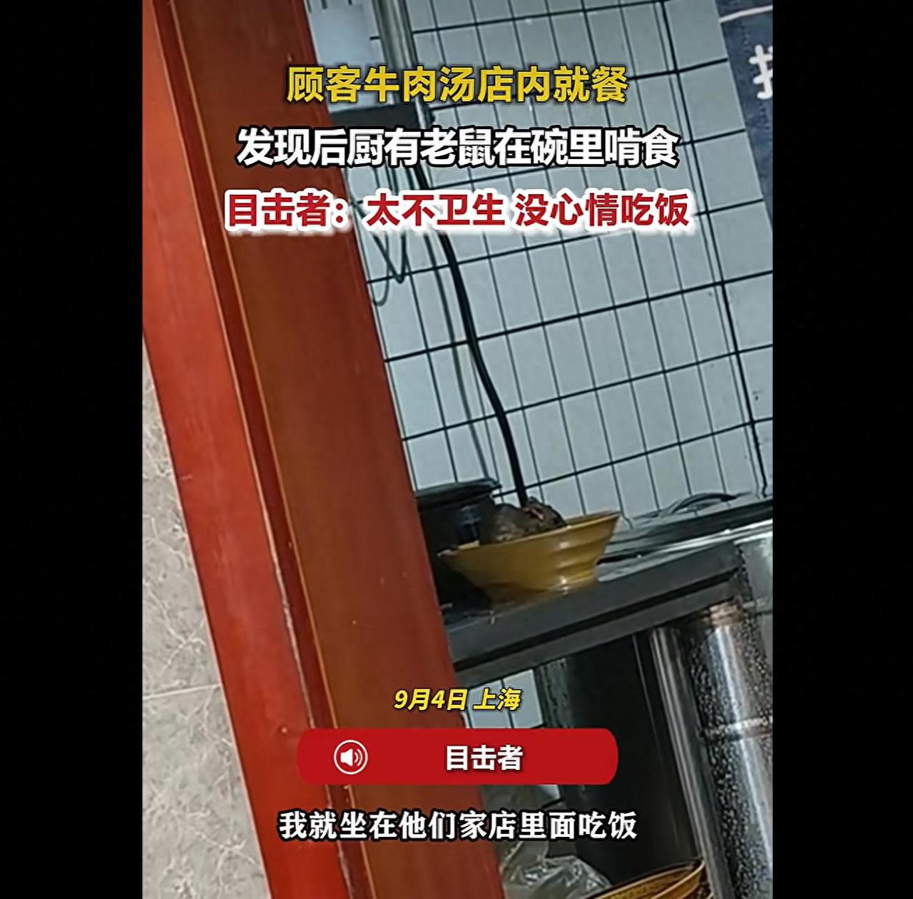 上海一牛肉汤店后厨惊现老鼠钻碗啃食，顾客就餐时和老鼠对视！

上海，一家淮南牛肉