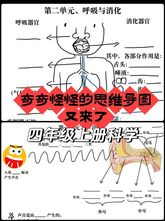 想让没学明白的家伙，在复习的时候梳理明白