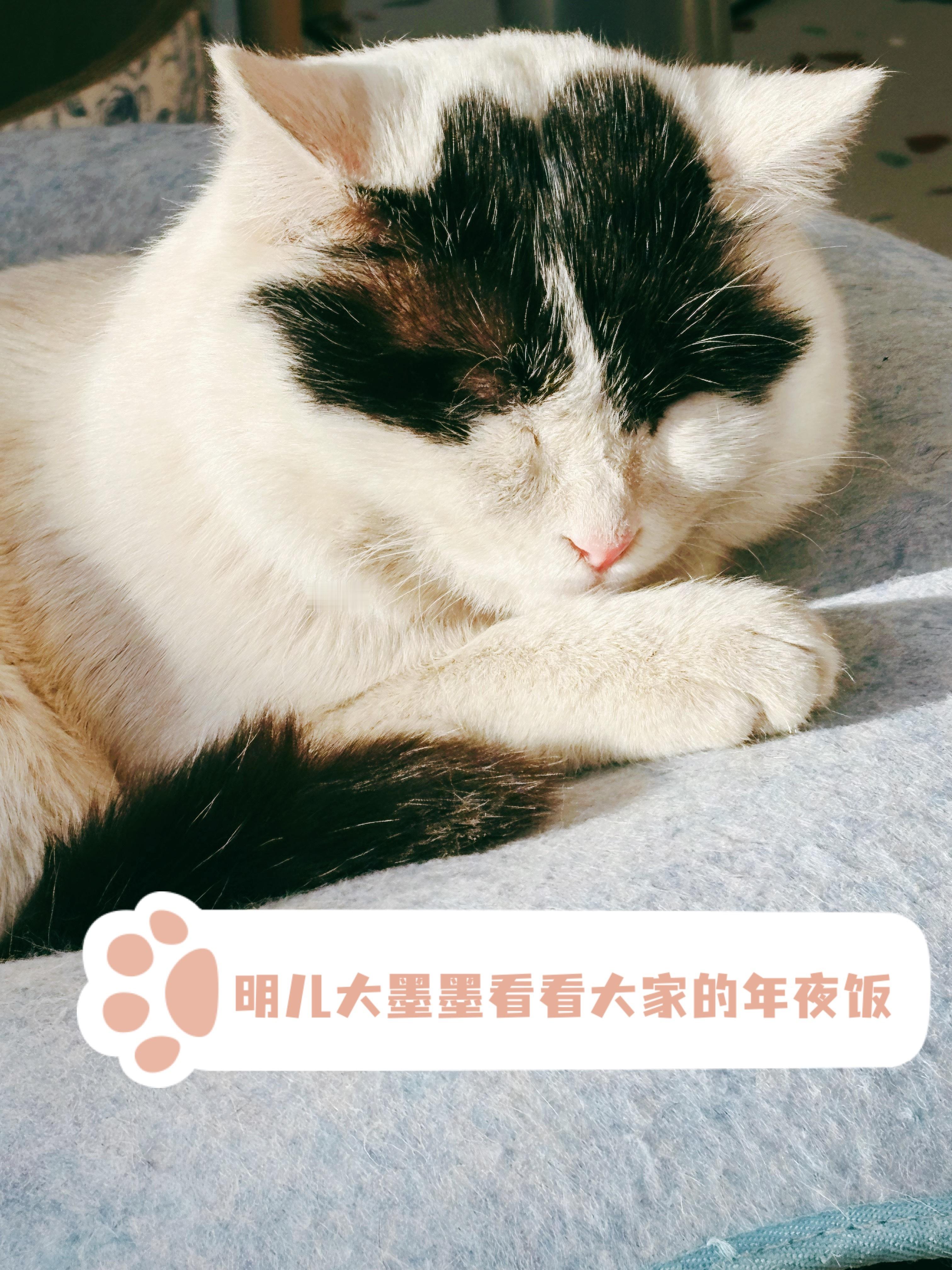 波叔老东家确实厉害～打满五盘才分出胜负，还看了双打～也值了。明天就除夕了，大家年