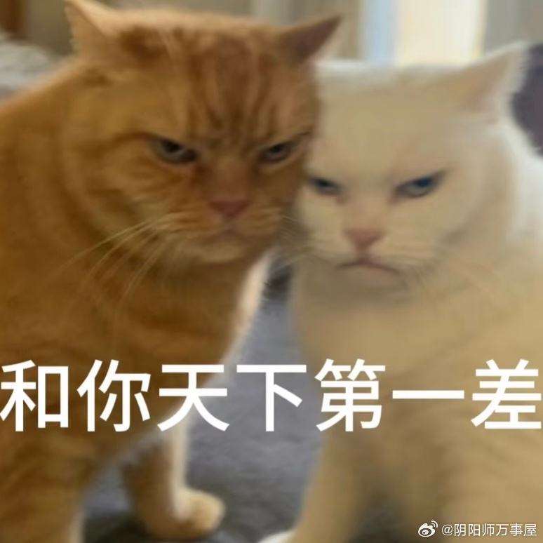 因为阴阳师内置的贪吃蛇难玩得要命，转头去下了真正的贪吃蛇。联动的终极目的达到了。