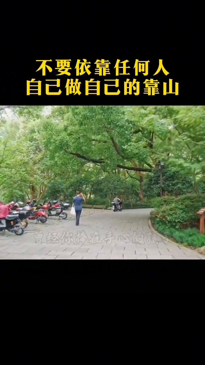 不要依靠任何人，自己做自己的靠山。
我告诉你，等你真的老了，走不动路，躺在床上连