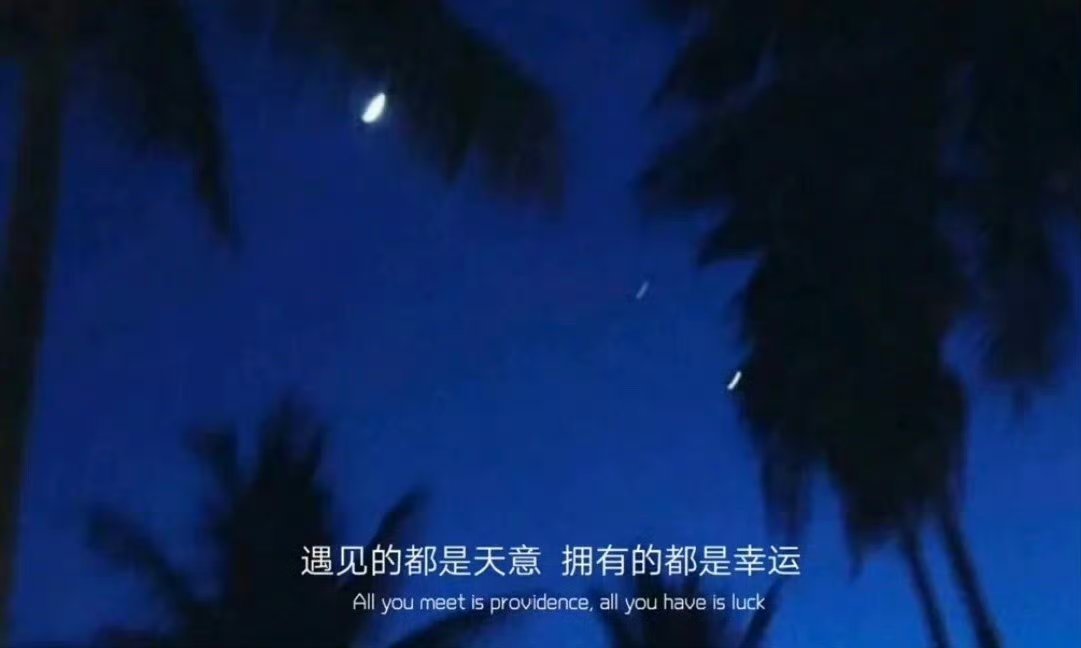 你知道嘛你不是我权衡利弊后可行的选择而是我怦然心动后明知不可为而为之的坚定这是我