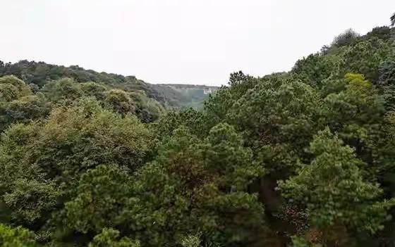 十月二日我们一家人和妹妹一家人一起，到渝北开新区铁山坪玉峰山太极山庄玩了一天。