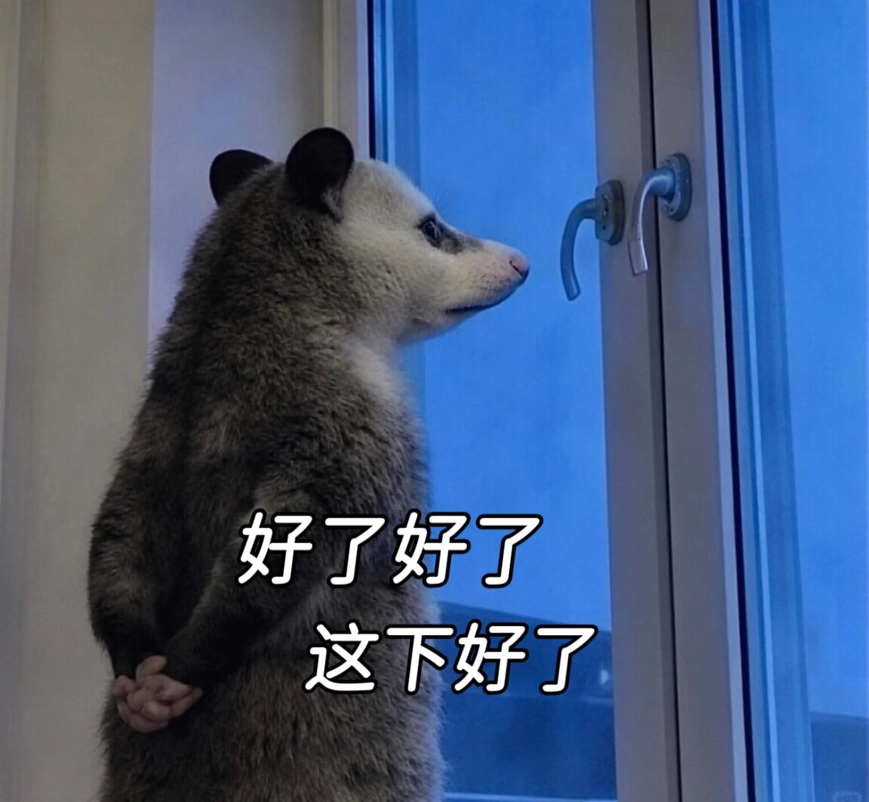 担心了一个周末的事终于发生了[便便][便便][便便] ​​​