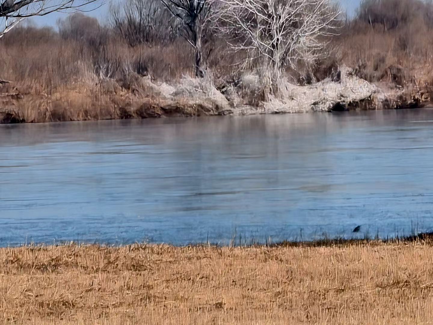 秦岭笑谈 【青衿筑梦牵河脉 实践寻根护黄流】曲阜师范大学寒假社会实践大学生寒假社