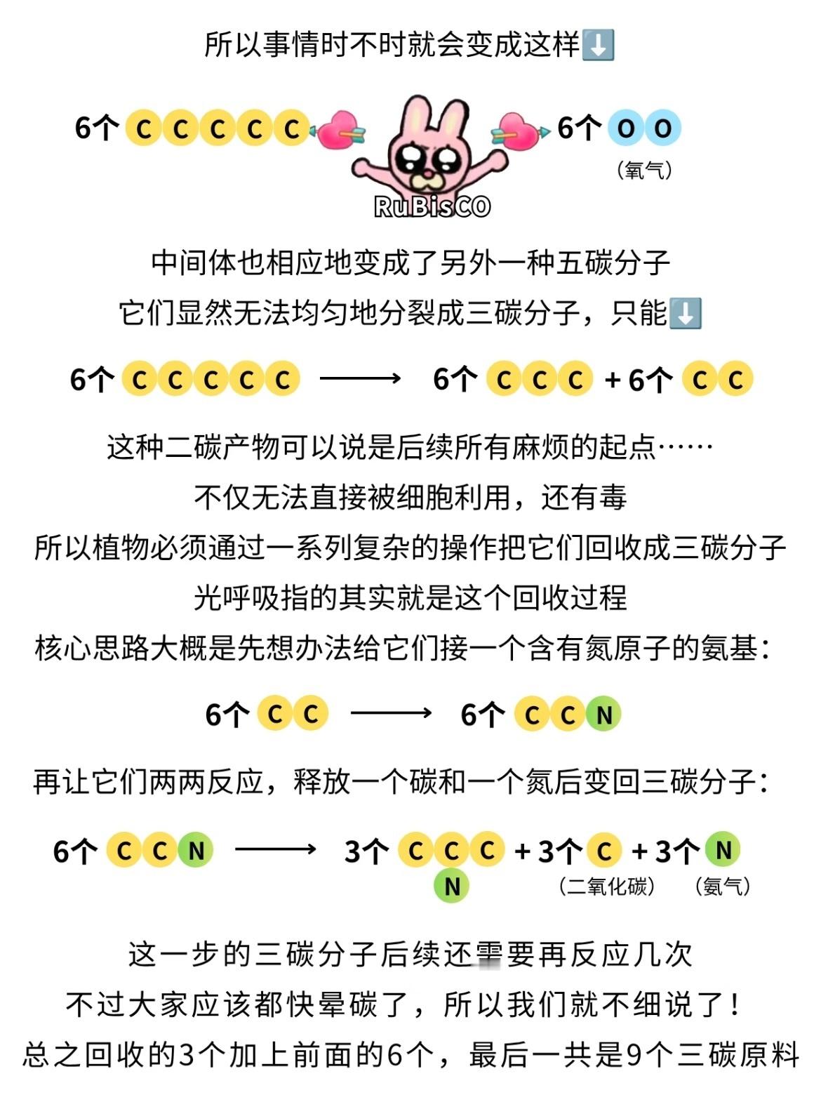我每天：你到底怎么光合作用的能不能教我！！！中国科普博览