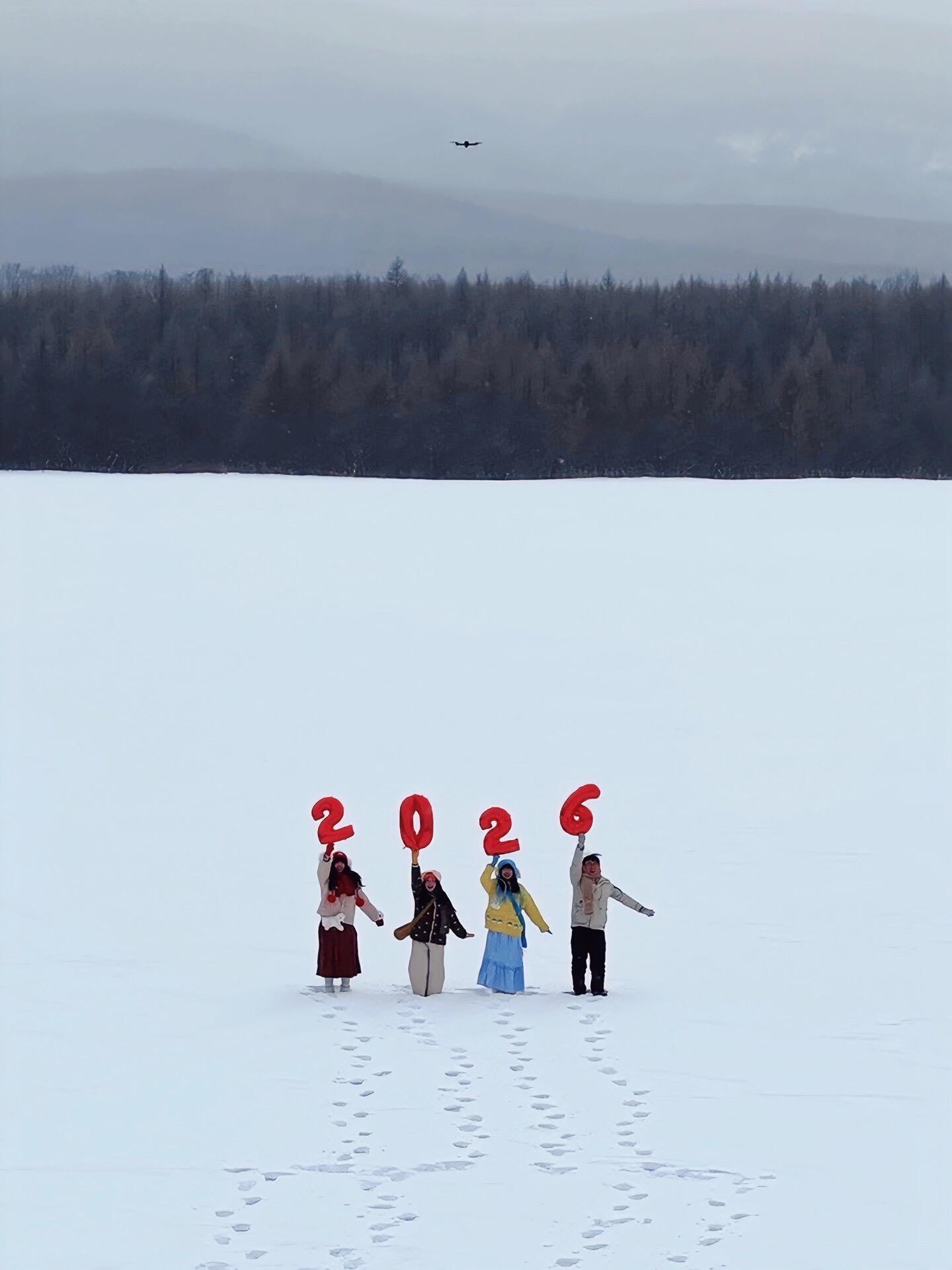在呼伦贝尔看到了粉海雪原实拍Live❄️冬天的呼伦贝尔没人！只有浪漫！！ 