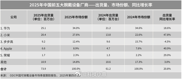 中国市场腕戴市场排名出炉 2025年中国腕戴设备市场增长真猛，出货量超过7300