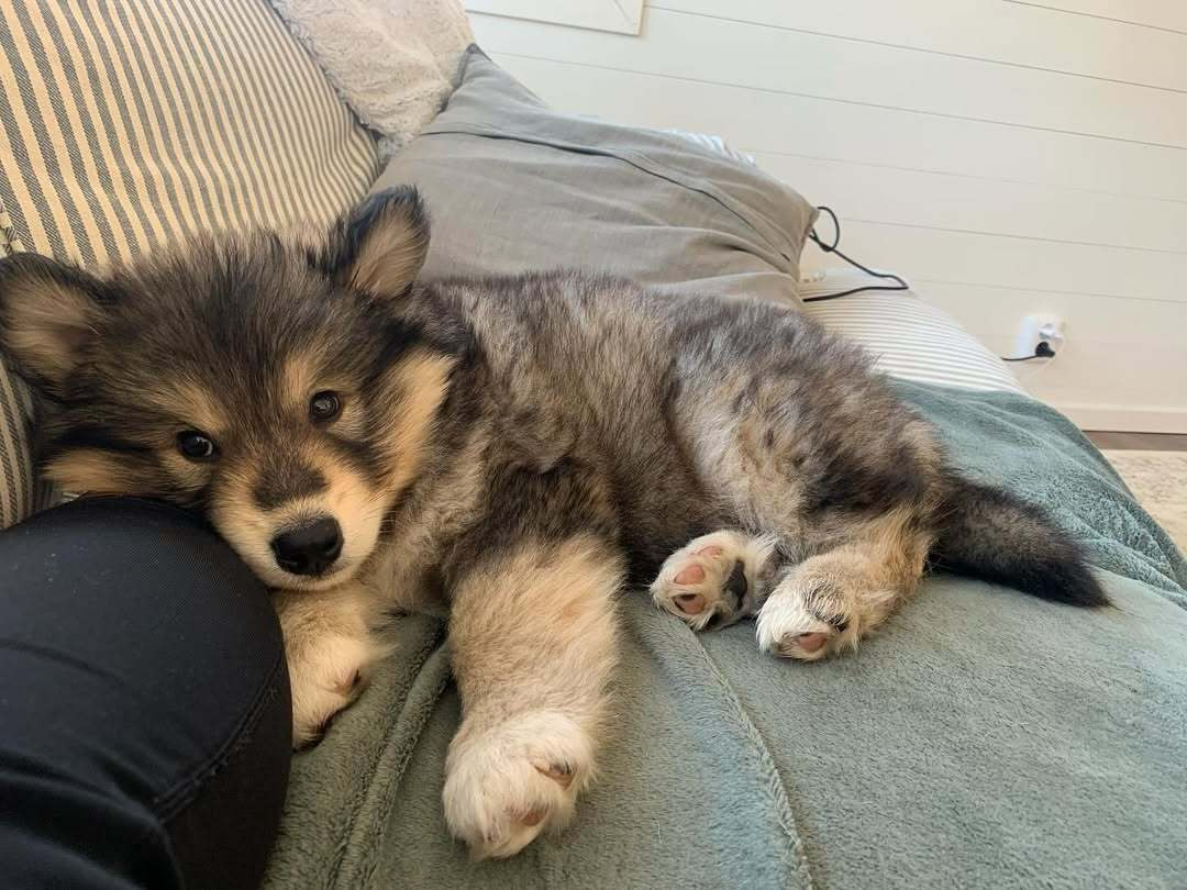 上班第一天就这么晚回来吗 