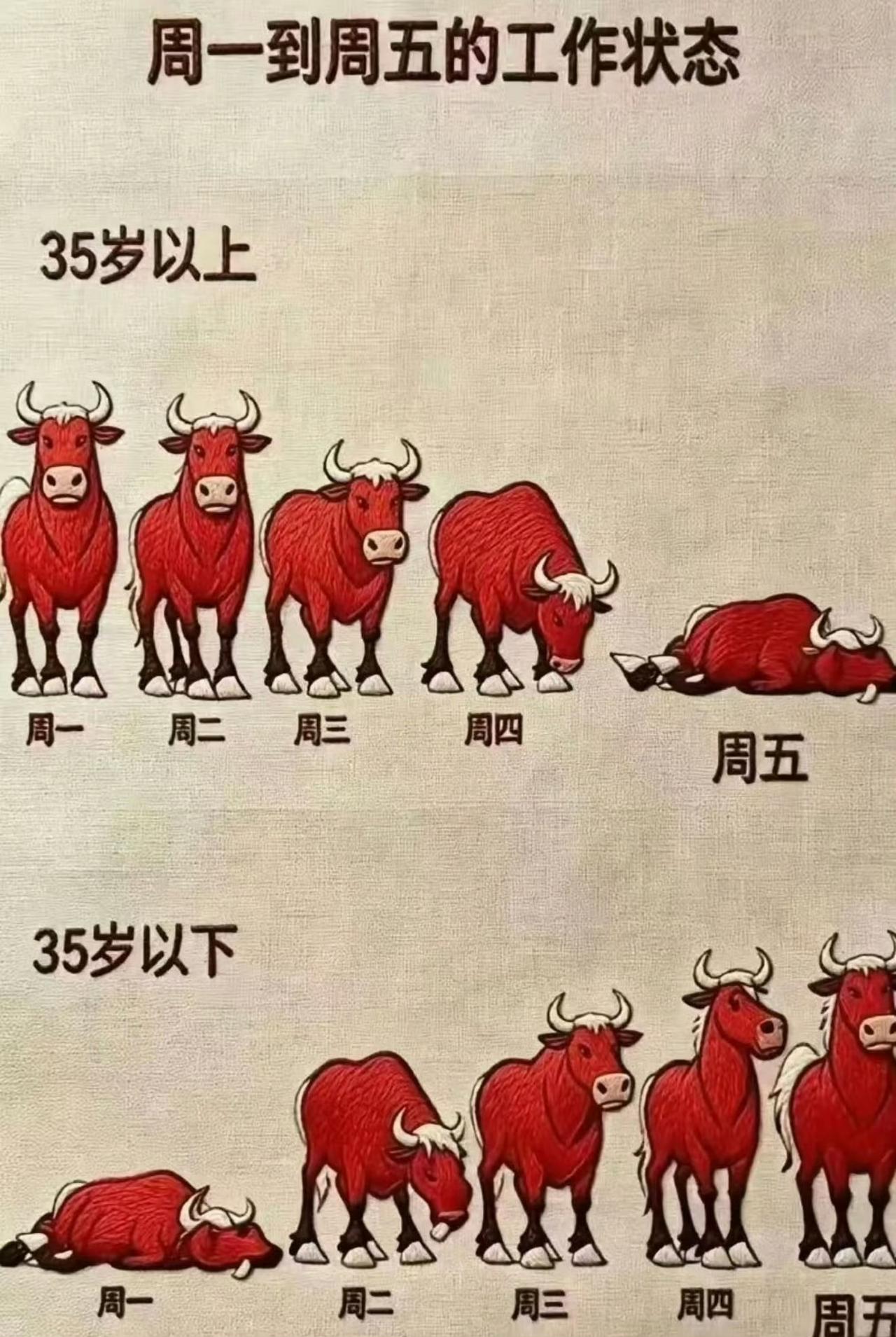 哇咔咔！
我刚刚35岁！
怎么办？
职场35+困境