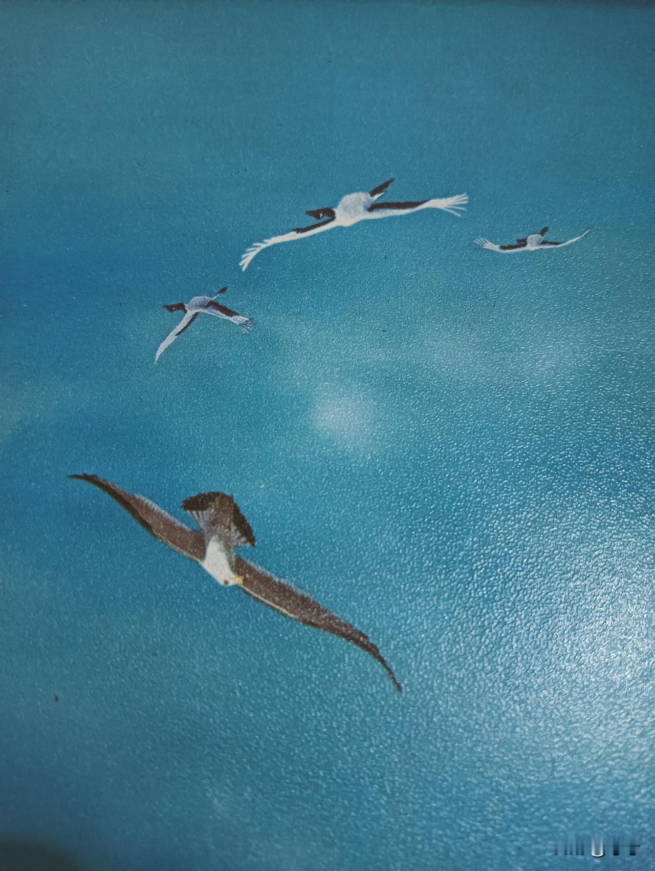 今天谷雨啦，
春天最后一个节气，
意为“雨生百谷”，
马上就要入夏了。
 
都说