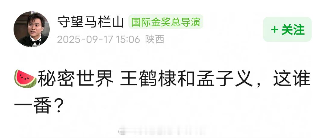 🍉：王鹤棣、孟子义《秘密世界》女性向言情IP，男主第一人选都是河堤，谁码到谁就