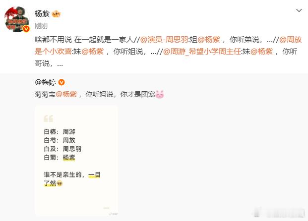 杨紫回复梅婷：啥都不用说 在一起就是一家人。就听我们团宠菊菊宝的今晚记得来看《生