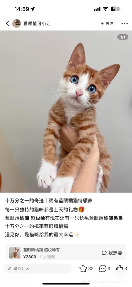 被盗图了，大家不要相信