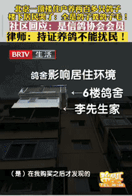 “太缺德了”北京一男子花235万元买套房子，结果楼上邻居养了200多只鸽子，他忍
