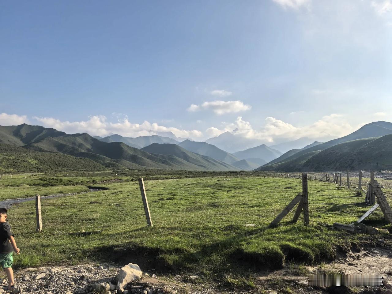 看看你相册的绿植故乡的天很蓝，流淌着家的味道，多少次梦回。想起儿时的记忆，母亲的