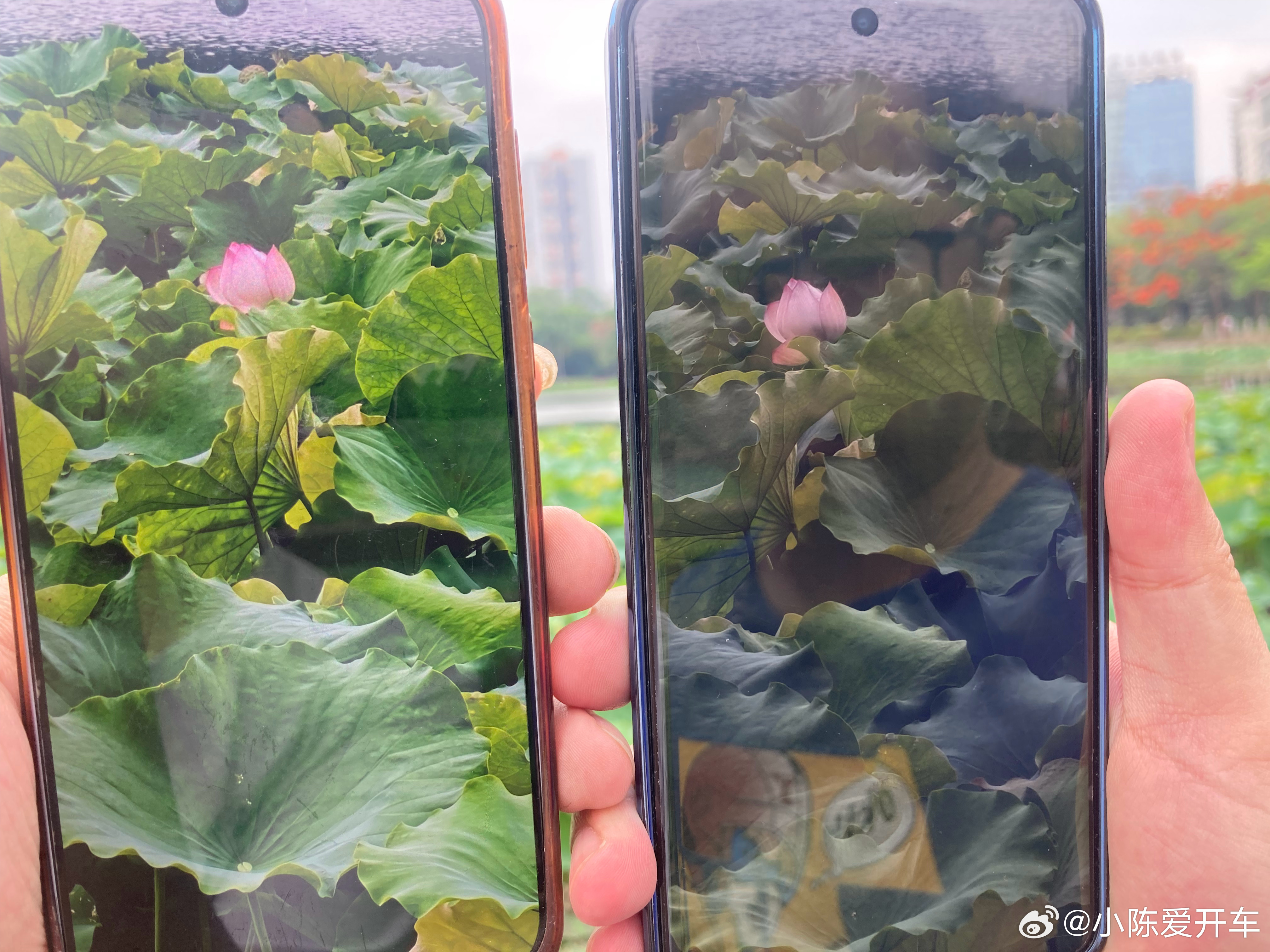 如果是你，你选择vivo还是OPPO？oppo超影像vivo荷花 这是一条来自日