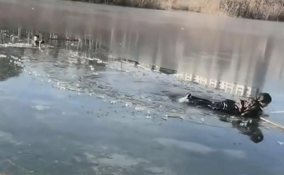 好多媒体都没有说清楚，宁夏同心13岁的小姑娘李佳婷是如何救人的！

有的自媒体还