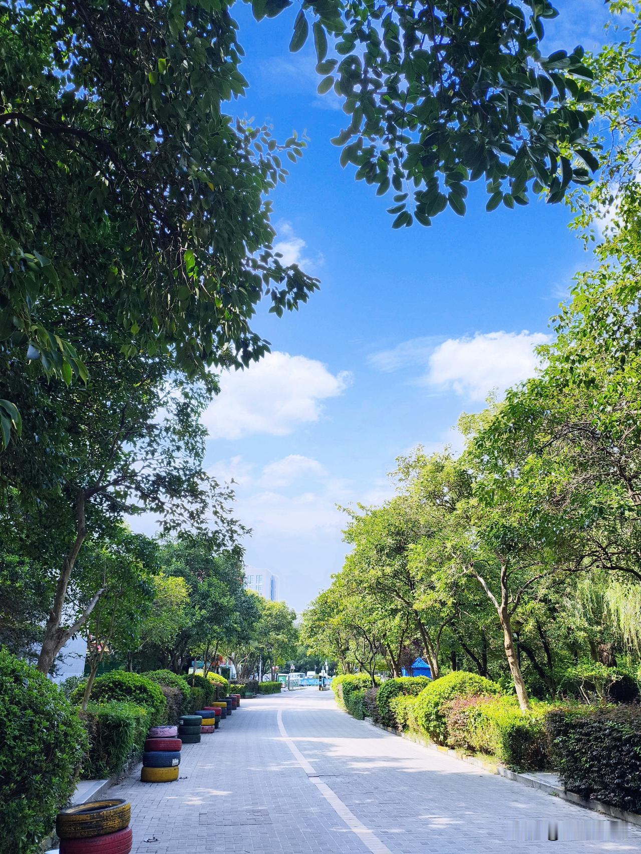 全国夏季炎热城市里，南京曾经那可是“赫赫有名”，传统四大火炉里就有它。不过时代变