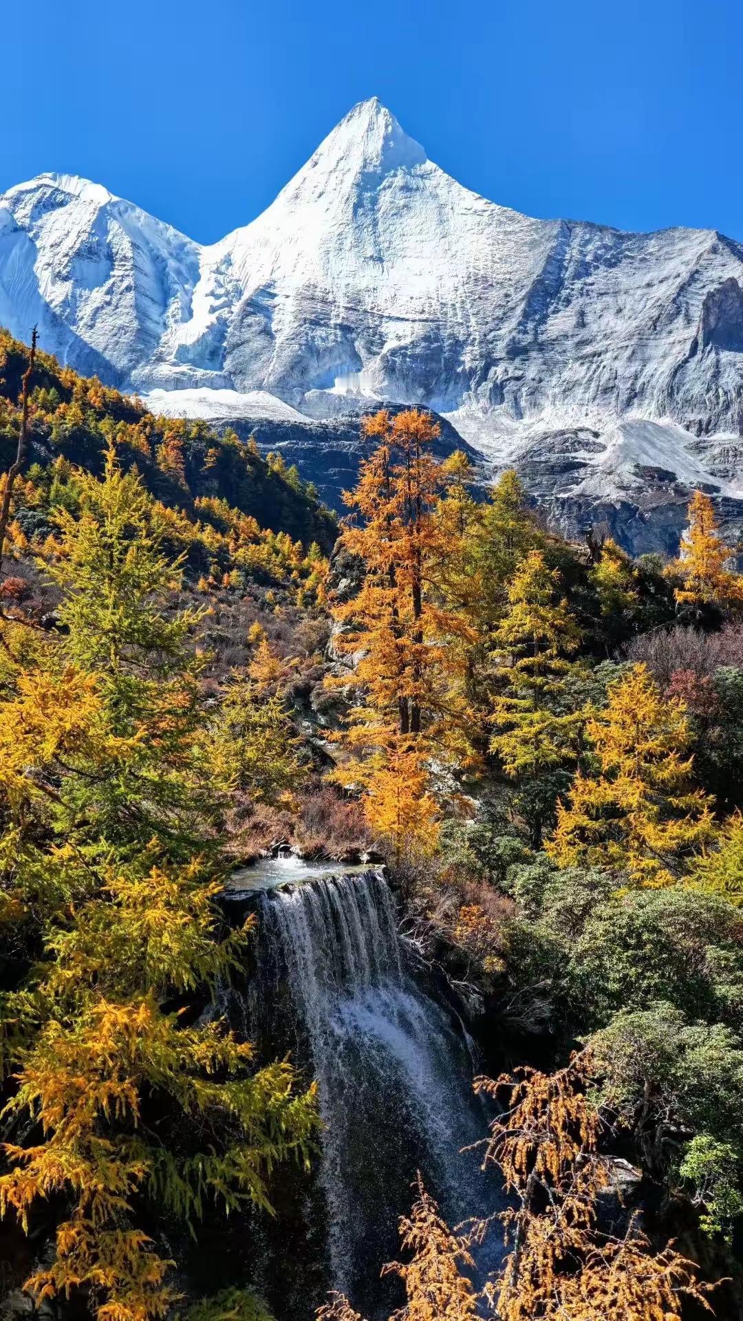 什么是自证分？

自证分是心的功能，即是心的认识功能。这个自证分的识功能主要表现