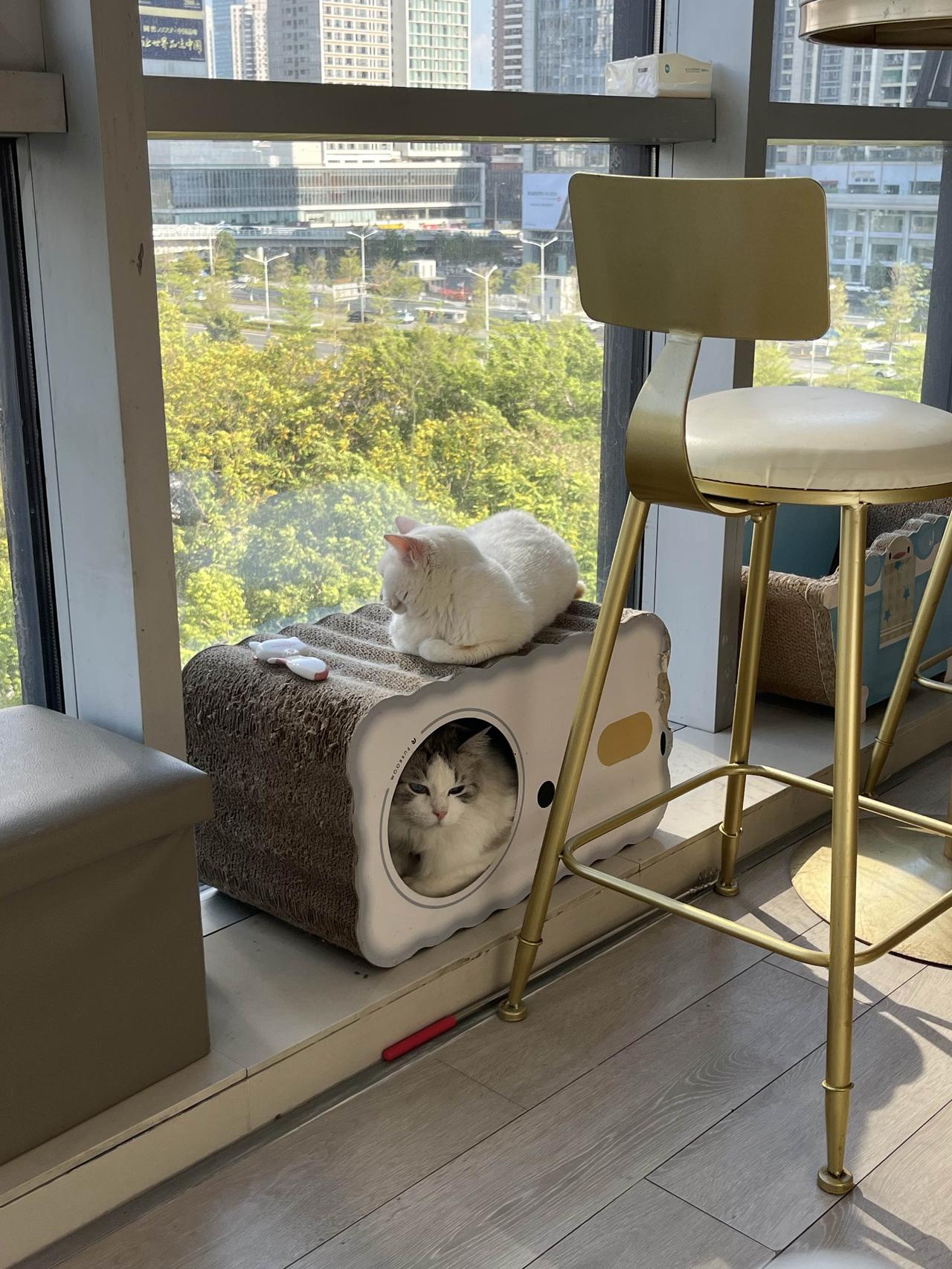 今年最舍不得删的照片