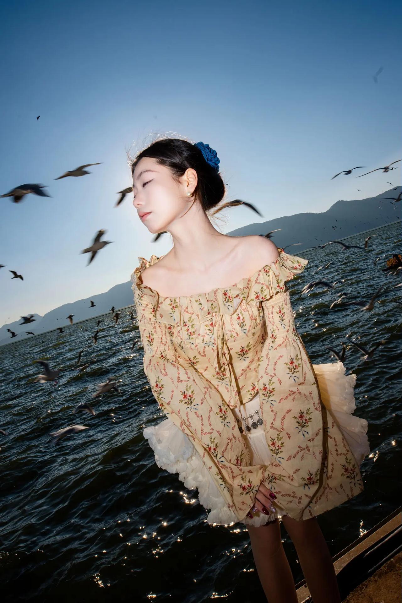 库存。拍照姿势 海鸥 海边拍照