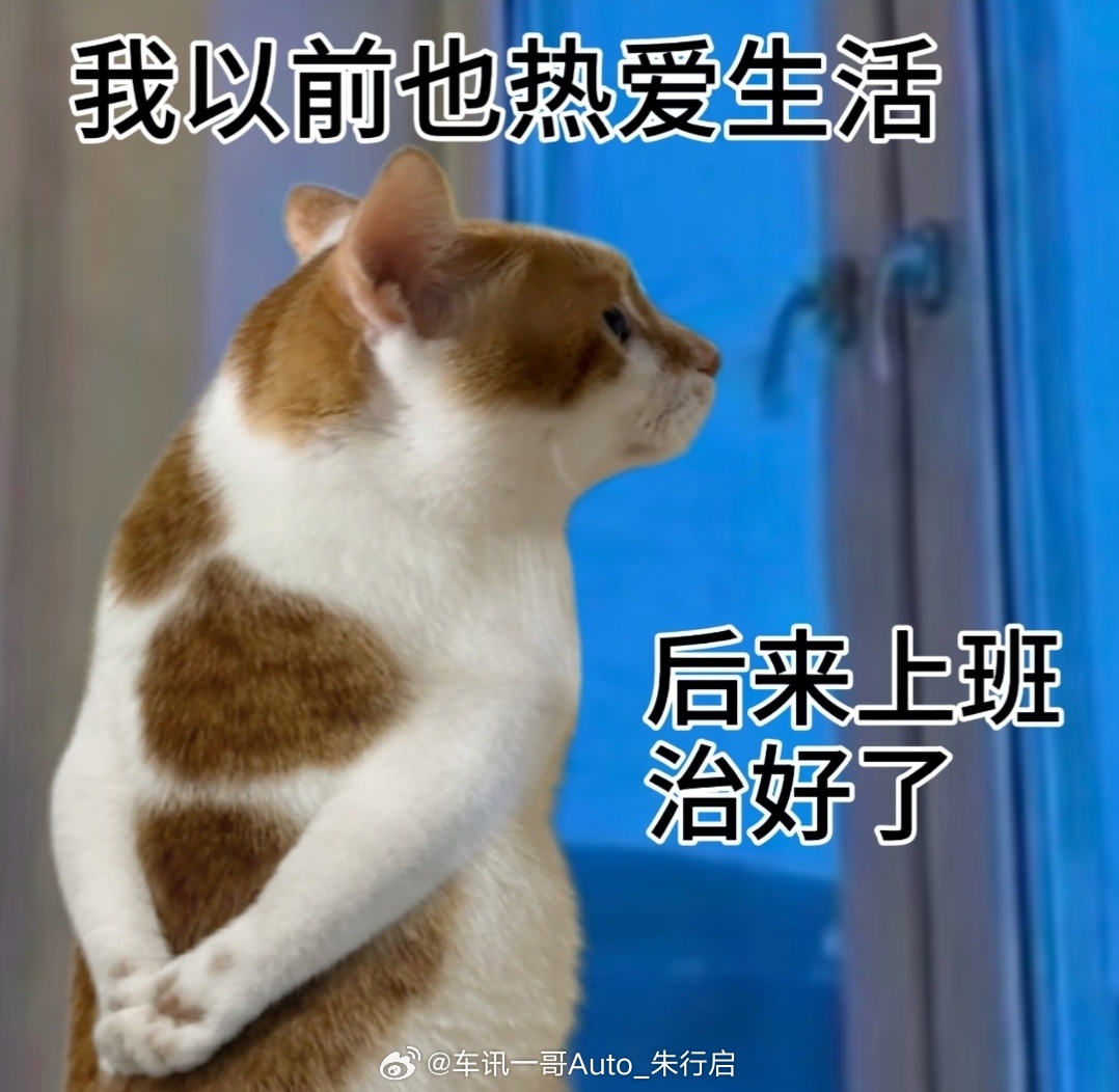 Wb的赈灾款终于下来了营业了一个月好歹见到了点米不知道大家每个月能拿多少