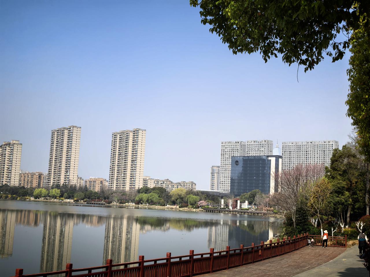 国家应该给嫂子发放养老金，没有当年嫂子的付出，就没有今天比亚迪，对民族工业贡献太