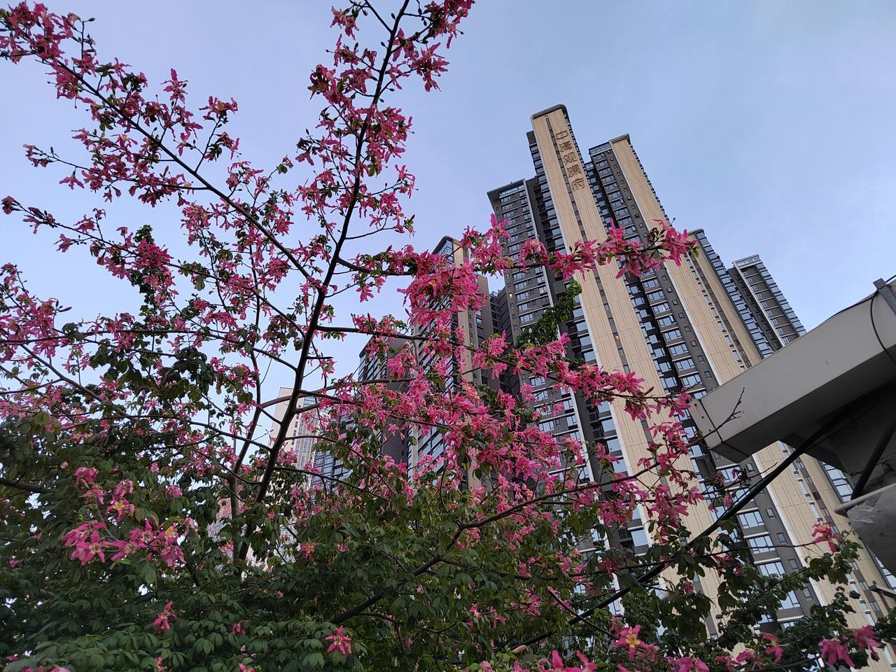 电力板块的2026年：改革深水区与结构性机遇

（改写自华创证券、信达证券等机构