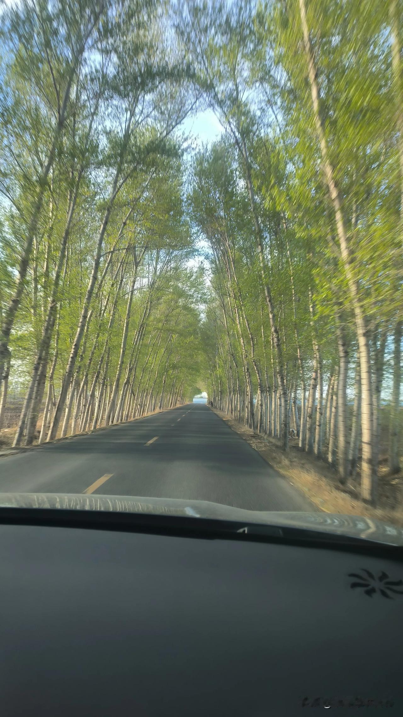 高水平维生素C对人体的保护

血清维生素C水平的升高与膳食中水果和蔬菜摄入量的增