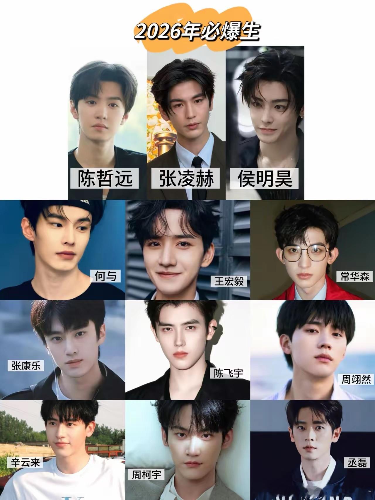 网友列出2026年这些男明星必爆，你认同吗？陈哲远、张凌赫、侯明昊、何与、王宏毅