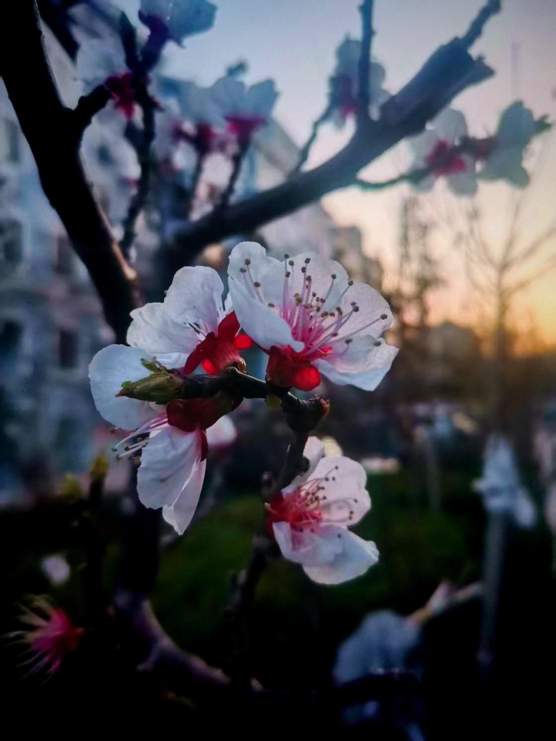 一个人一旦开始不再照顾你的情绪，那就请你立马收起自己的热情和付出。千万...