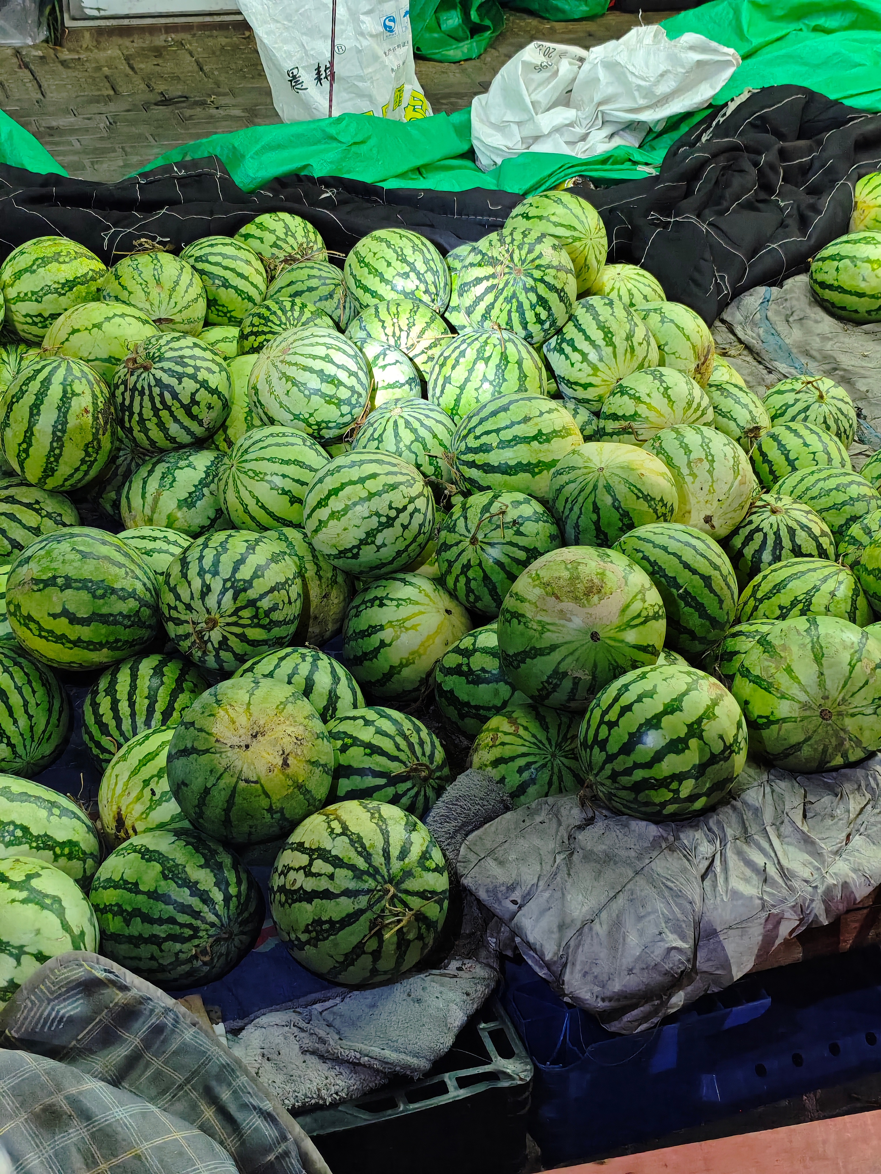 10元3个西瓜🍉，今年最后吃一次西瓜! ​​​
