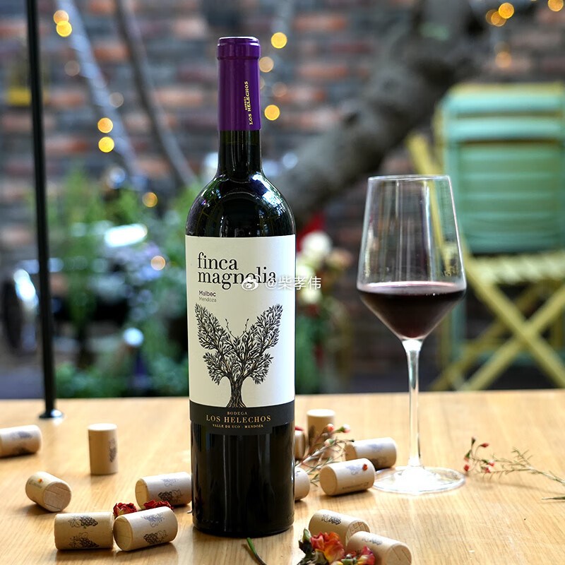 行业公司研究顶级股权企业家 阿根廷菲克维塔（Fecovita）葡萄酒集团，全球前