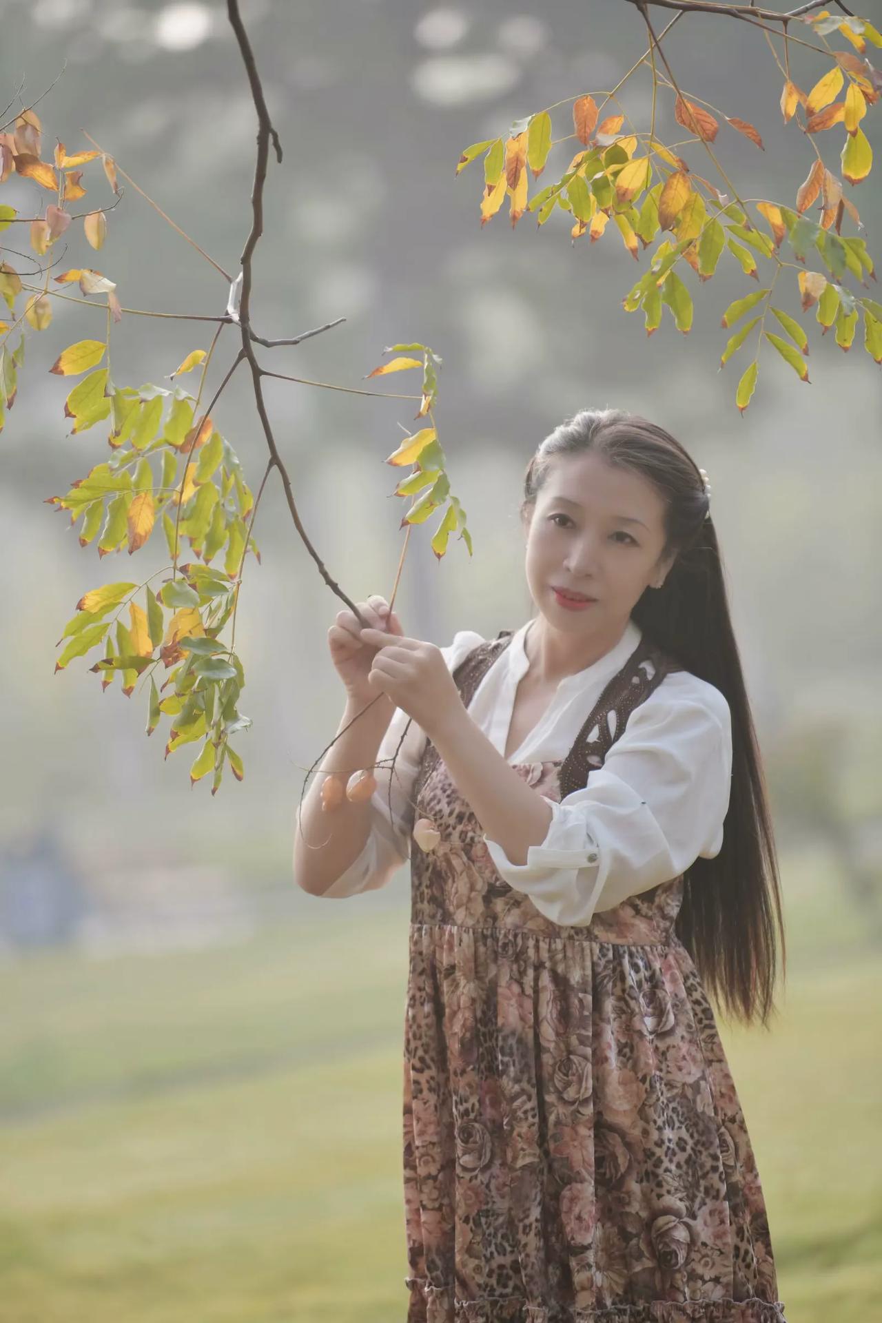 #可以分享一张秋景树的照片吗# 秋冬时节，金黄色的叶子🍁拍摄于赵苑公园。#金秋