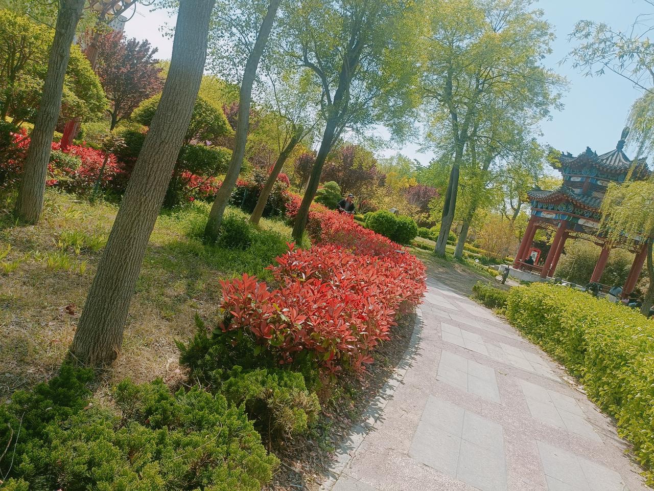 春天的景色迷人