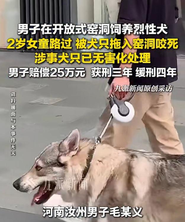 宠物中毒案罪犯张某华已被实际收监，这是北京首例宠物中毒刑事公诉案，为什么毒死几只
