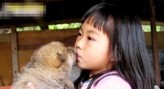 1987 年，东北一 3 岁女孩救了小狼的命，竟然把它当成了玩伴，哪曾想！小狼长