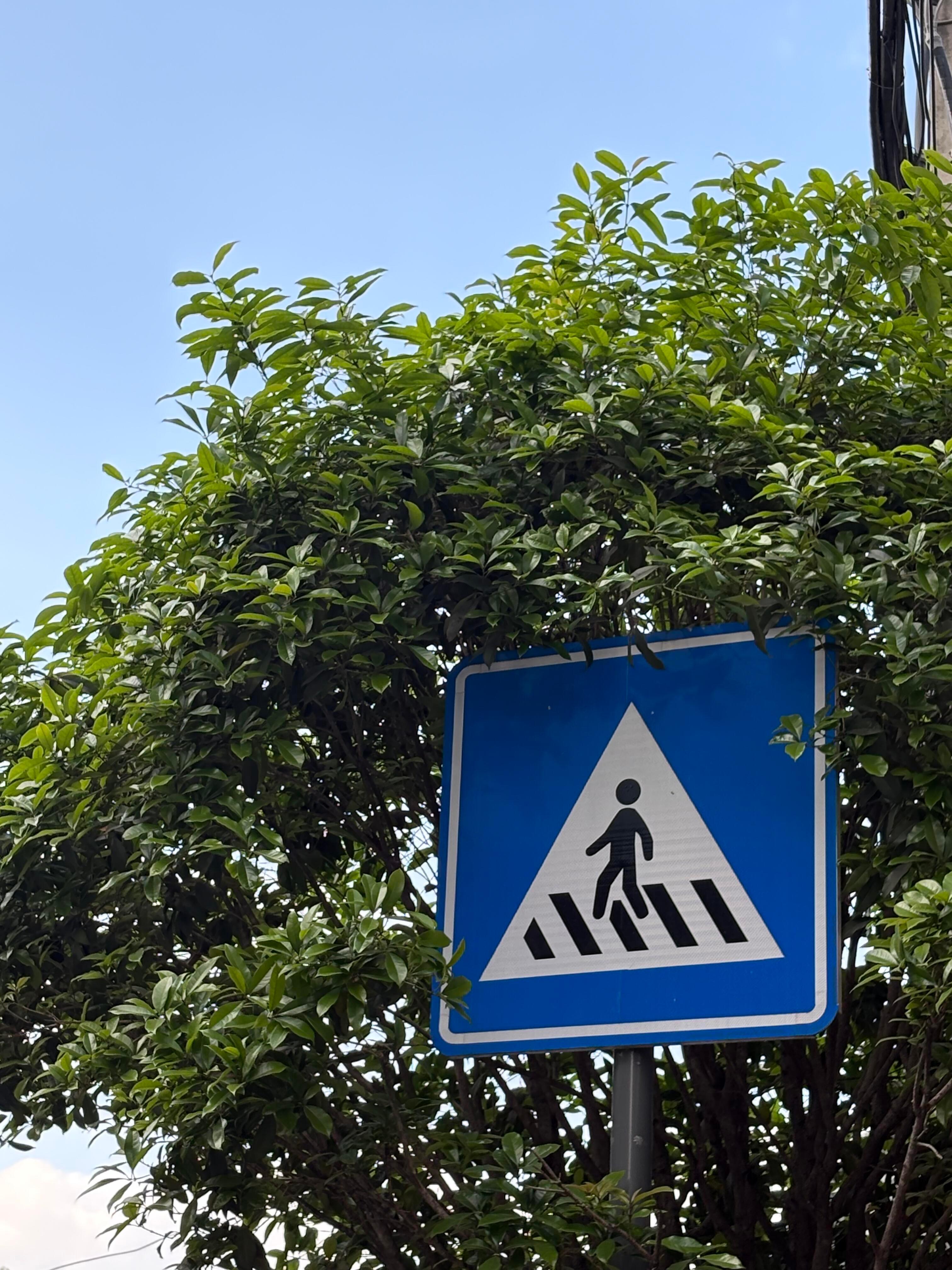 🥤𓏽 𝙣𝙞𝙘𝙚 𝙙𝙖𝙮 ෆ⃛自己的人生  随心即是满分💯 