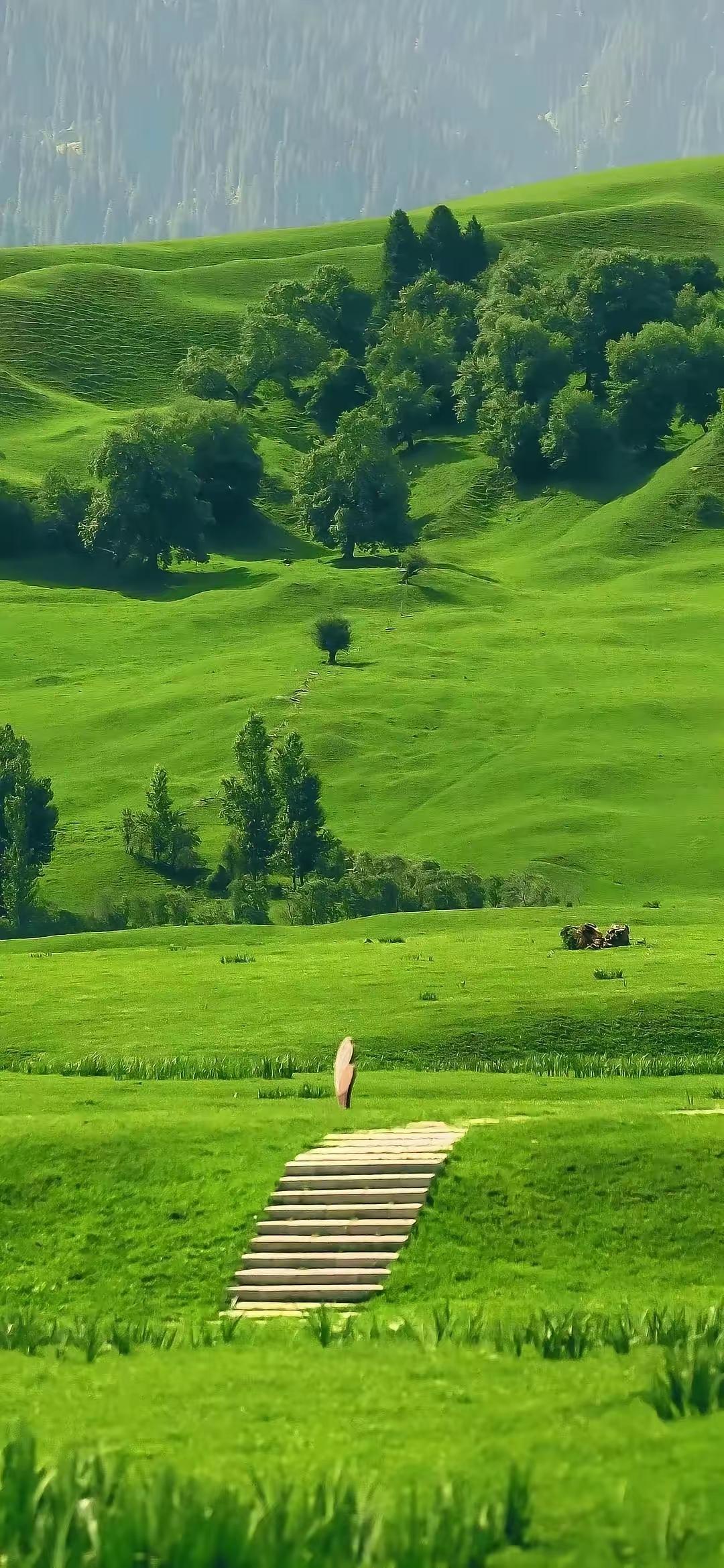 “性欲是人的生命力，其实很多人都不知道，性欲是成年人最顶级的生命力。它不是低俗，